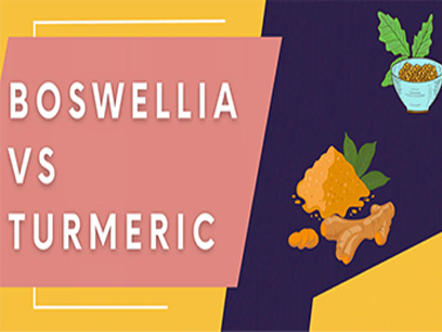 Is Boswellia Serrata Powder The Same As Turmeric Powder?